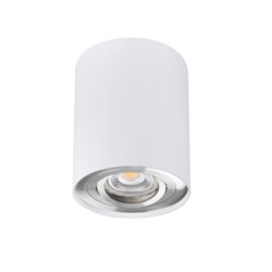 Akcentinis LED šviestuvas BORD DLP-50-SR/W GU10 230V PAR16 IP20 (Paviršinio montavimo) Aliuminio lydinys Balta sidabro