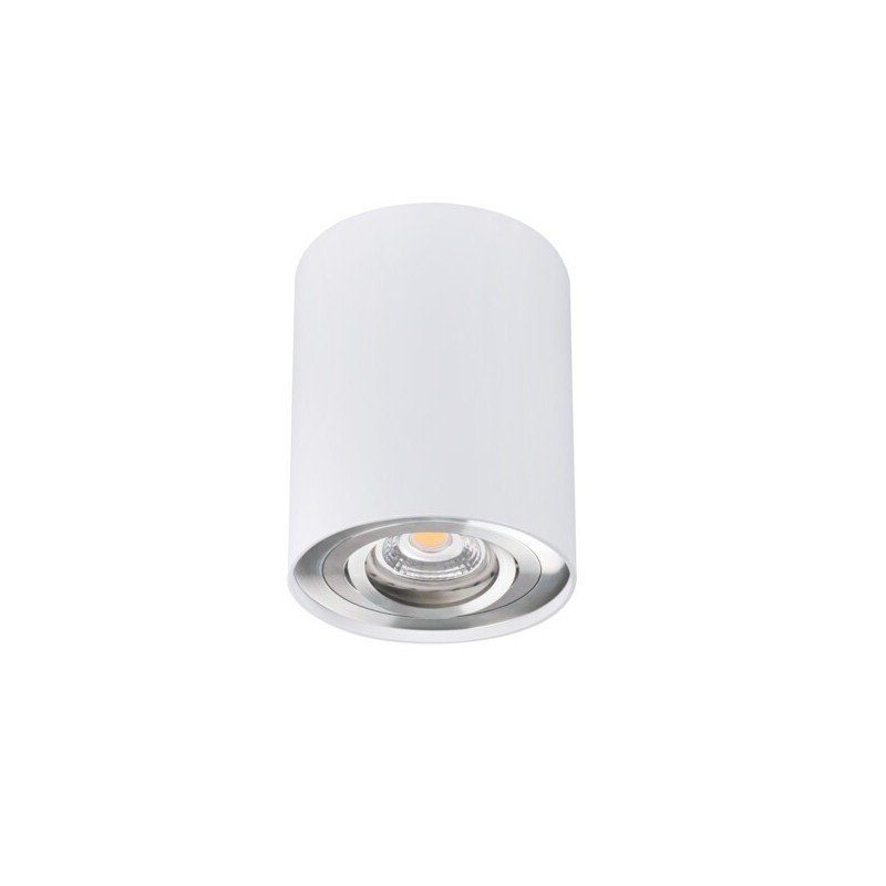 Akcentinis LED šviestuvas BORD DLP-50-SR/W GU10 230V PAR16 IP20 (Paviršinio montavimo) Aliuminio lydinys Balta sidabro