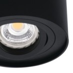 Akcentinis LED šviestuvas BORD DLP-50-SR/W GU10 230V PAR16 IP20 (Paviršinio montavimo) Aliuminio lydinys Balta sidabro