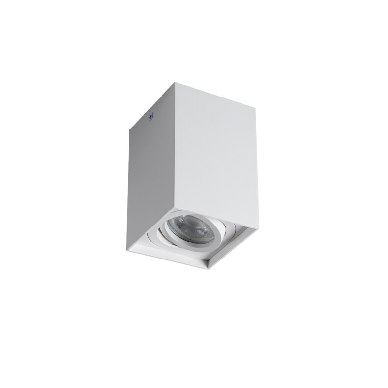 Akcentinis LED šviestuvas GORD XS DLP-50-W GU10 230V PAR16 IP20 (Paviršinio montavimo) Aliuminio lydinys Balta