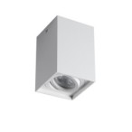 Akcentinis LED šviestuvas GORD XS DLP-50-W GU10 230V PAR16 IP20 (Paviršinio montavimo) Aliuminio lydinys Balta