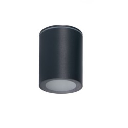 Akcentinis LED šviestuvas AQILO IP65 DSO-GR GU10 230V PAR16 (Paviršinio montavimo) Aliuminio lydinys Plastikas Grafito