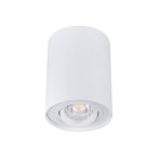 Lubinis šviestuvas BORD DLP-50-W GU10 230V PAR16 IP20 (Paviršinio montavimo) Aliuminio lydinys Matinė balta