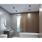 Lubinis šviestuvas SANI IP44 DSO-B GU10 230V (Paviršinio montavimo) Plastikas Aliuminio lydinys Juoda