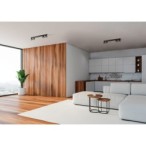 Lubinis šviestuvas GALOBA EL-4I B 4xGU10 230V PAR16 IP20 Aliuminio lydinys Juoda