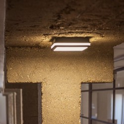 Lubinis šviestuvas BENO 12-1 CCT-L G LED SMD 12x1 230V 3000/3500/4000K 80Ra IP65 (Šilta, neutrali balta) Polikarbonatas Grafito