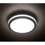 Lubinis šviestuvas BENO 12-1 CCT-O G LED SMD 12x1 230V 3000/3500/4000K 80Ra IP65 (Šilta, neutrali balta) Polikarbonatas Grafito