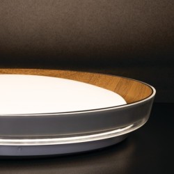 Lubinis šviestuvas NIFU LED17, NW W/BR LED SMD 17, 230V 4000K 80Ra IP20 (Neutrali balta) Plastikas Metalas Balta Bronzos