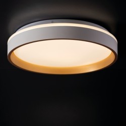 Lubinis šviestuvas SOLN LED 17,5W NW W/G SMD 17,5W 230V 4000K 80Ra IP20 (Neutrali balta) Plastikas Metalas Balta Aukso