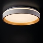 Lubinis šviestuvas SOLN LED 17,5W NW W/G SMD 17,5W 230V 4000K 80Ra IP20 (Neutrali balta) Plastikas Metalas Balta Aukso