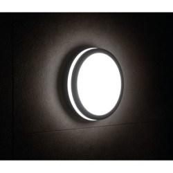 Lubinis šviestuvas BENO N 1 NW O-GR LED SMD 230V 4000K 1400lm IP54 Plastikas Grafito
