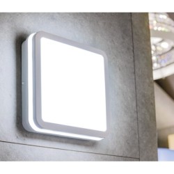 Lubinis šviestuvas BENO N 1 NW O-GR LED SMD 230V 4000K 1400lm IP54 Plastikas Grafito