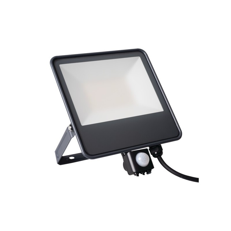 Prožektorius IQ-LED FL 50W NW SE 230V 4000K IP44 su judesio davikliu 5m, Garantija