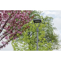 Gatvės LED šviestuvas PARCOLI 30-50W CCT G 30 / 40 / 50W 3000, 4000, 6500K pilka