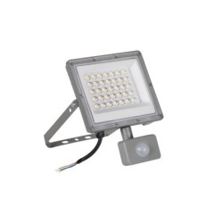 Prožektorius ACETE 30W CCT SE GR 30W 3000, 4000, 6500K IP44 su judesio davikliu