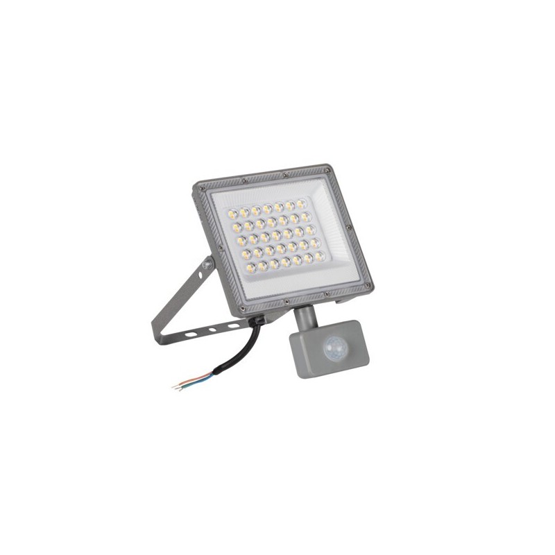 Prožektorius ACETE 30W CCT SE GR 30W 3000, 4000, 6500K IP44 su judesio davikliu