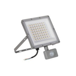 Prožektorius ACETE 50W CCT SE GR 50W 3000, 4000, 6500K IP44 su judesio davikliu