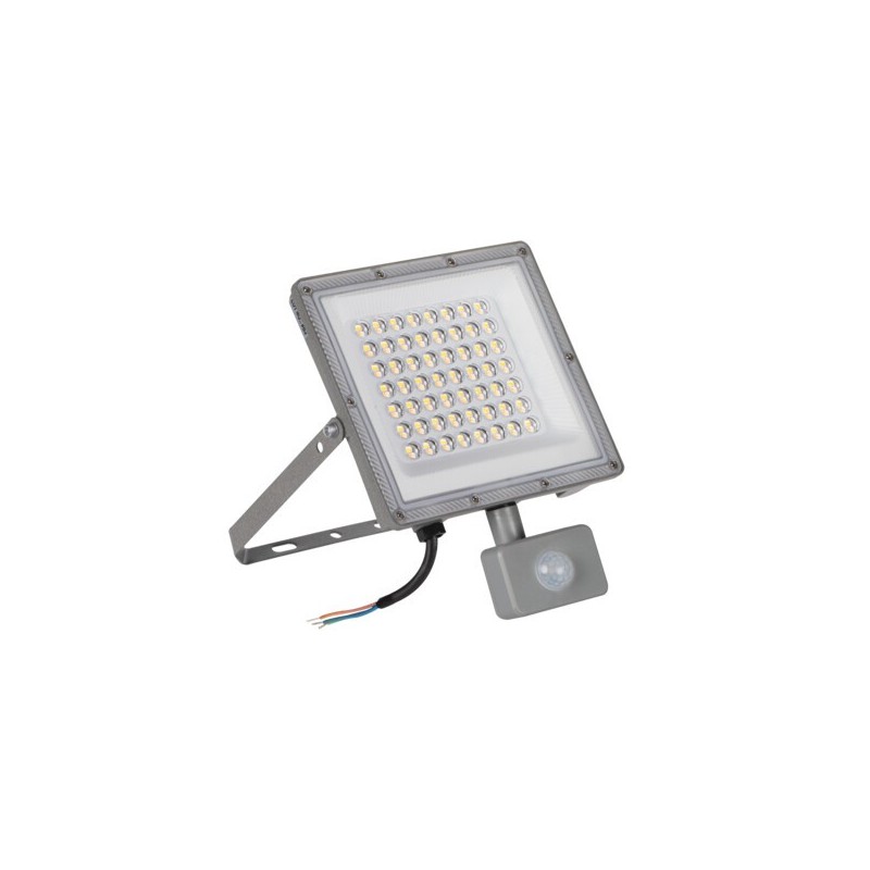 Prožektorius ACETE 50W CCT SE GR 50W 3000, 4000, 6500K IP44 su judesio davikliu