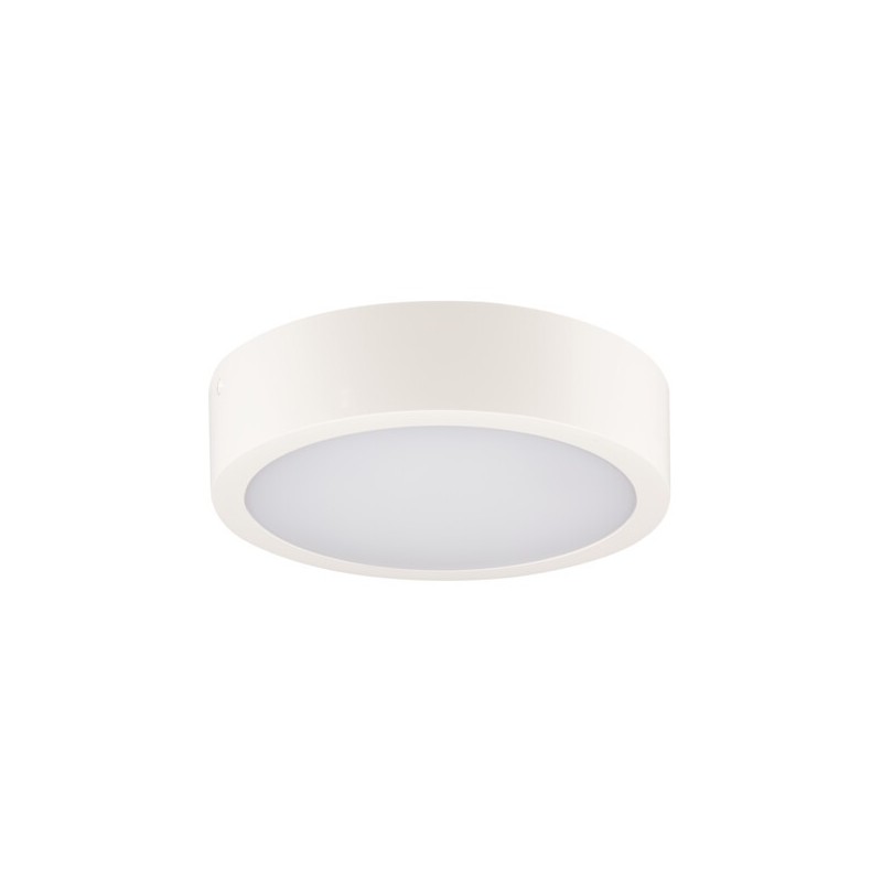 Lubinis šviestuvas DABER 8-13W CCT W LED SMD balta IP66