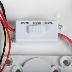 Lubinis šviestuvas DABER 8-13W CCT W LED SMD balta IP66