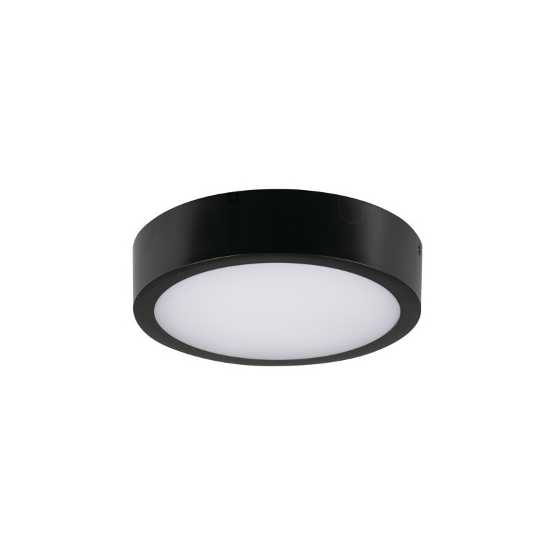 Lubinis šviestuvas DABER 8-13W CCT B LED SMD juoda IP66