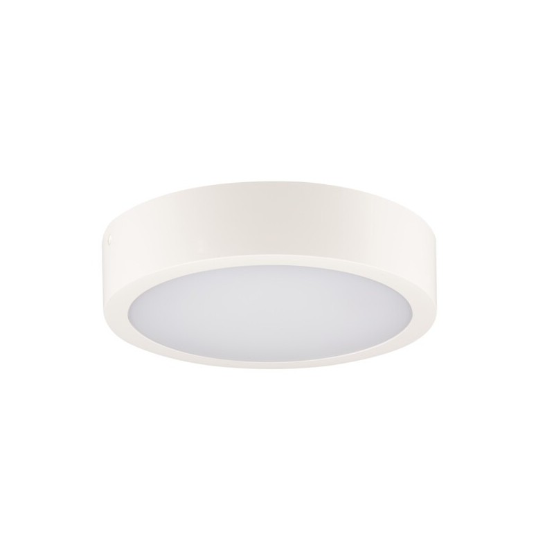 Lubinis šviestuvas DABER 12-20W CCT SE W LED SMD balta IP66 su judesio davikliu