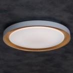 Lubinis šviestuvas ANBAR LED 37W CCT BR LED SMD balta, ruda IP20 su pulteliu