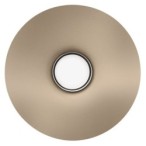 Sieninis šviestuvas CAPITAL TAUPE 1xGX53