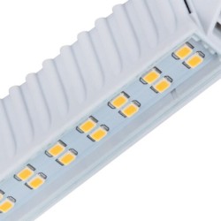 LED lemputė RANGO R7S SMD-WW 3000K R7 230V 550lm 20000h Plastikas (Šilta balta)