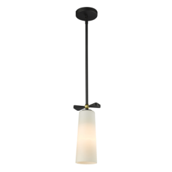 Pakabinamas šviestuvas BOW P01121BK  1xE27