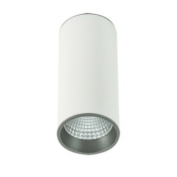 Lubinis šviestuvas Moldes Big WH/GR Ceiling 4000K LED 12W 4000K Balta Pilka (SLC7392/12W 4000K WH+GR)