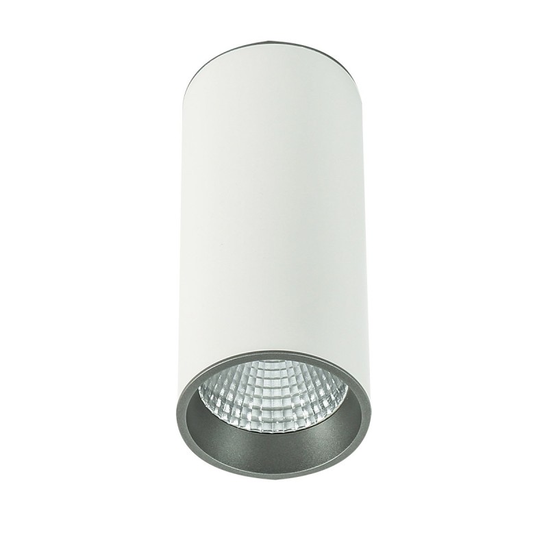 Lubinis šviestuvas Moldes Big WH/GR Ceiling 4000K LED 12W 4000K Balta Pilka (SLC7392/12W 4000K WH+GR)