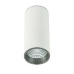 Lubinis šviestuvas Moldes Big WH/GR Ceiling 4000K LED 12W 4000K Balta Pilka (SLC7392/12W 4000K WH+GR)