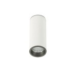 Lubinis šviestuvas Moldes Medium WH/GR Ceiling 3000K LED 7W 3000K Balta Pilka (SLC7391/7W 3000K WH+GR)