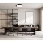 Lubinis šviestuvas Alata LED 36W 2800, 4000, 6000K Juoda (PLF-72836-480R-36W-BL)