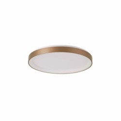 Lubinis šviestuvas Vico LED 38W 3000, 4000K Aukso (PLF-53675-048RC-GD-3KS4K)