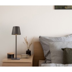 Stalinis lauko šviestuvas Atlis LED 5W 3000, 6500K Grafito (TB-2821-GR)