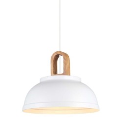 Pakabinamas šviestuvas Danito 1xE27 Balta (MDM3153/1M W)