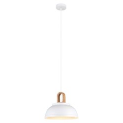 Pakabinamas šviestuvas Danito 1xE27 Balta (MDM3153/1M W)