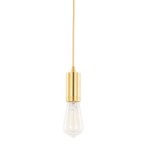 Pakabinamas šviestuvas Moderna 1xE27 Aukso (DS-M-038 GOLD)