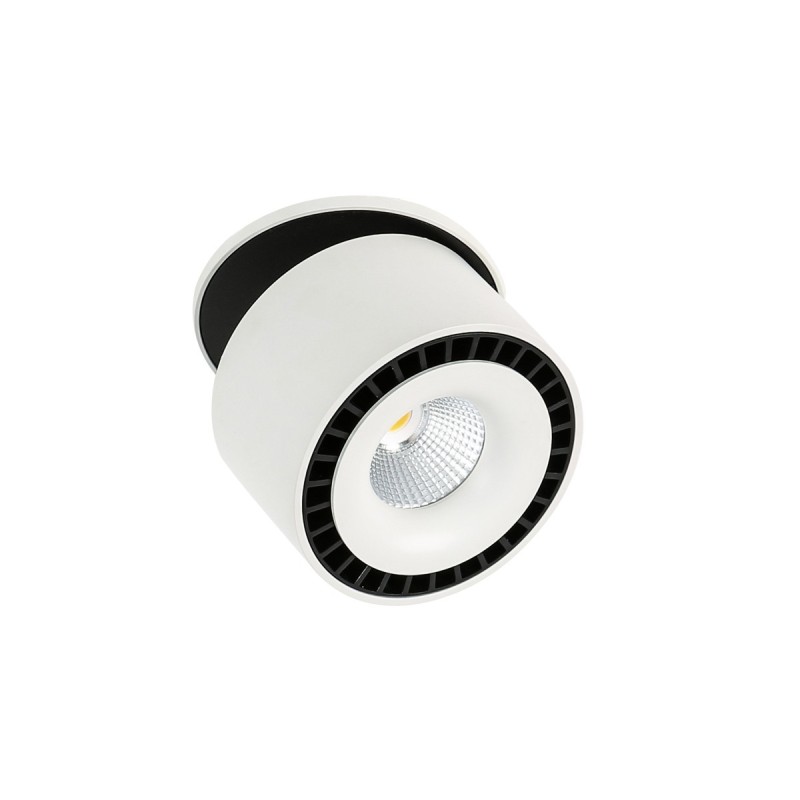 Įmontuojamas lubinis šviestuvas Sevilla Round Recessed 4000K LED 28W 4000K Juoda Balta (SL7560/28W 4000K WH+BL)