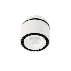 Įmontuojamas lubinis šviestuvas Sevilla Round Recessed 4000K LED 28W 4000K Juoda Balta (SL7560/28W 4000K WH+BL)