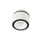 Įmontuojamas lubinis šviestuvas Sevilla Round Recessed 4000K LED 28W 4000K Juoda Balta (SL7560/28W 4000K WH+BL)