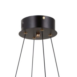 Pakabinamas šviestuvas Alani LED 24W 3000K Matinė juoda, aukso (PND-34375-4-BK)