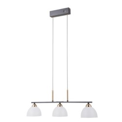 Pakabinamas šviestuvas Montiela LED 15W 3000K Matinė juoda, aukso (PND-34374-3-BK)