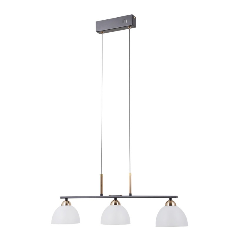 Pakabinamas šviestuvas Montiela LED 15W 3000K Matinė juoda, aukso (PND-34374-3-BK)