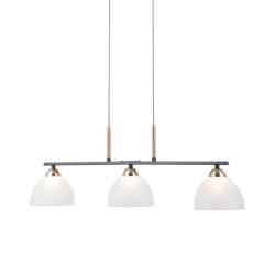 Pakabinamas šviestuvas Montiela LED 15W 3000K Matinė juoda, aukso (PND-34374-3-BK)