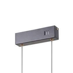 Pakabinamas šviestuvas Montiela LED 15W 3000K Matinė juoda, aukso (PND-34374-3-BK)
