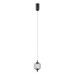 Pakabinamas šviestuvas Pedro LED 4W 3000K Matinė chromo (PND-34405-1-BK)