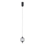Pakabinamas šviestuvas Pedro LED 4W 3000K Matinė chromo (PND-34405-1-BK)
